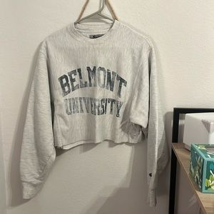 champion cropped sweatshirt